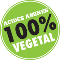 Acides-aminés-100-FR