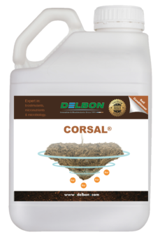 Mockup-Corsal_comp Mockup-Corsal_comp